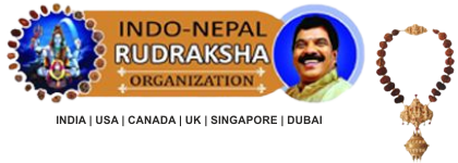 Indo Nepal Rudraksha